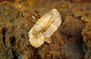 Vzácný krystal organického minerálu whewellitu