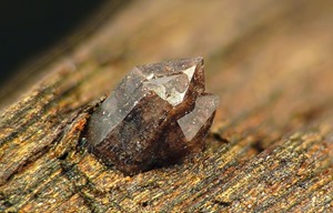 Krystal křemene v zuhelnatělém kmeni stromu